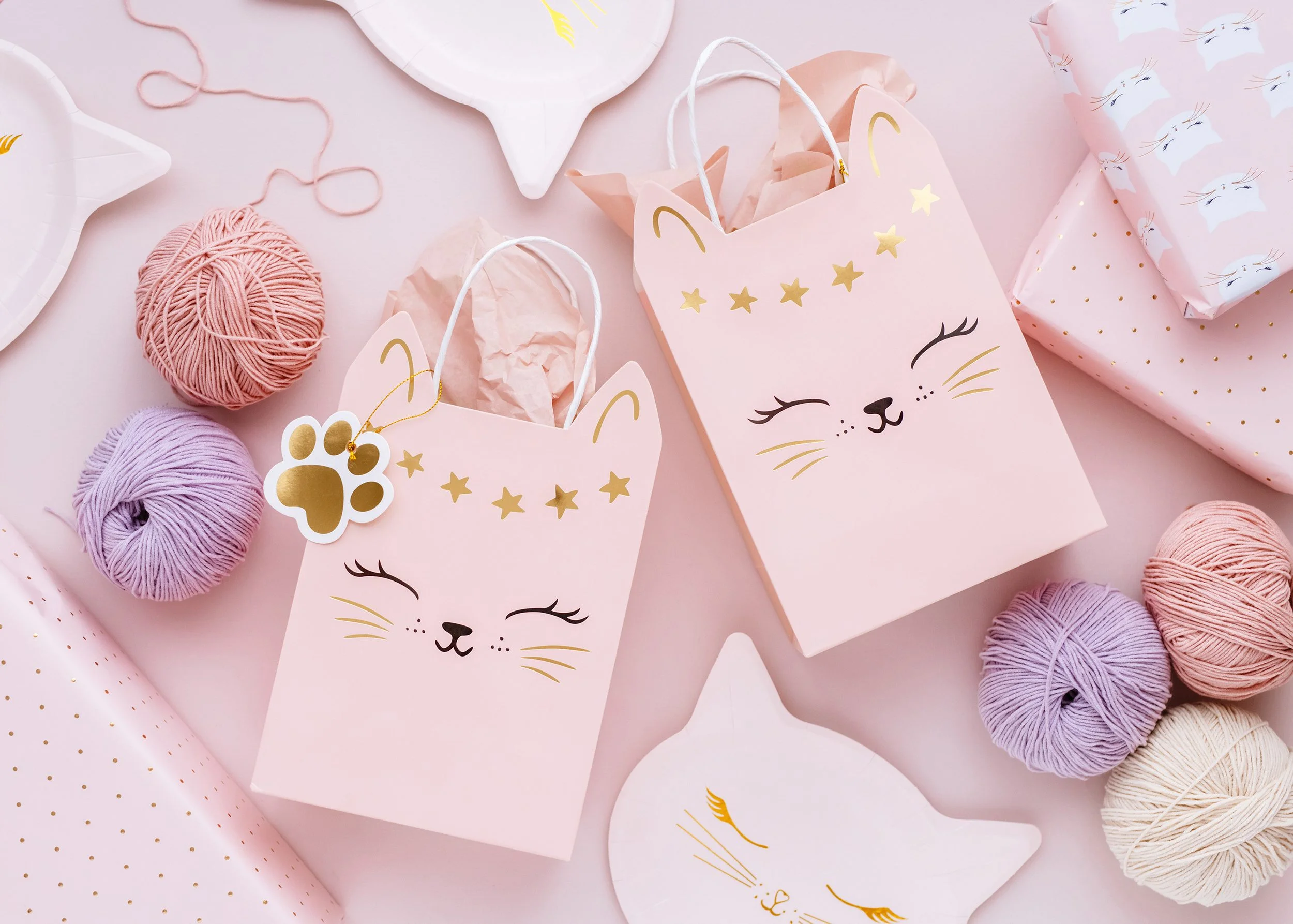 PARTYDECO Geschenktüte Katze mit Henkel – 18x10x27 cm, Hellrosa/Gold